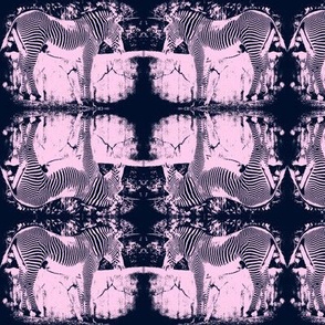 Navy Zebra