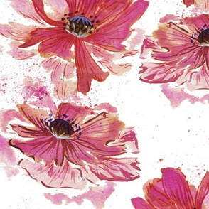 Watercolor Poppy