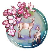 Deer