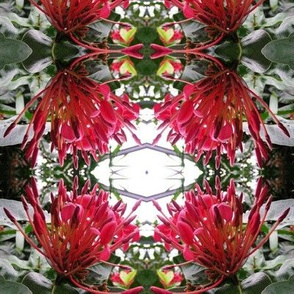 Tropical Valentine Too