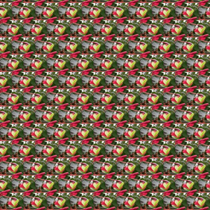 Tropical Valentine
