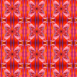 Bird in Red