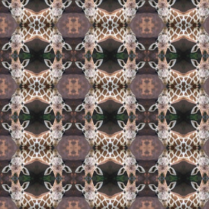Portrait of a Giraffe