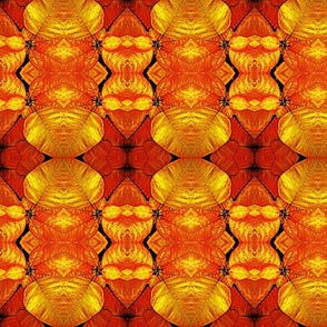 Gold Poinsettia