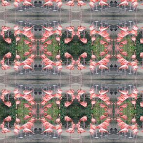 Flamingos on the Green