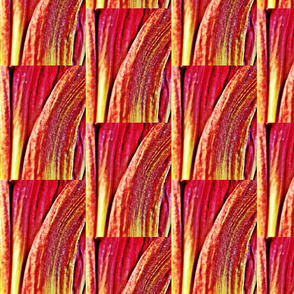 Petal Pattern 4