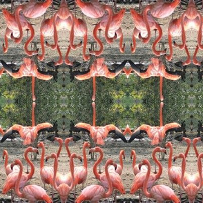 Flamingo Revue