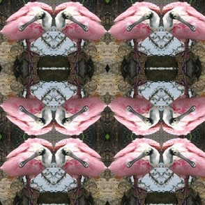 Roseate Spoonbill