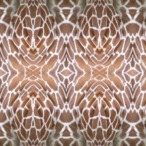 Giraffe Pelt