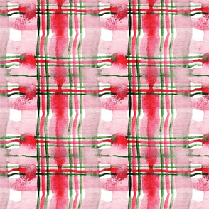 antoinette tartan M