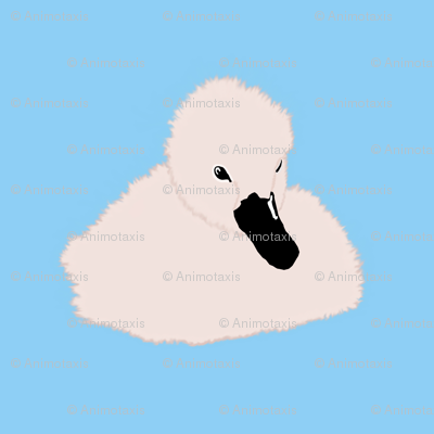 Baby Goslings