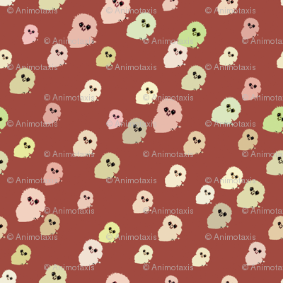 Baby Owlets