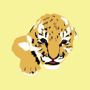 Cute Baby Tiger
