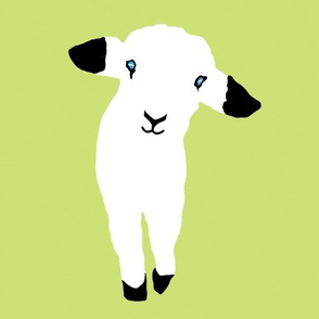 Cute Lamb Babies