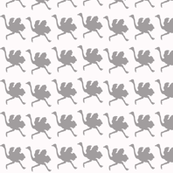 RUNNING_OSTRICHES_IN_GREY