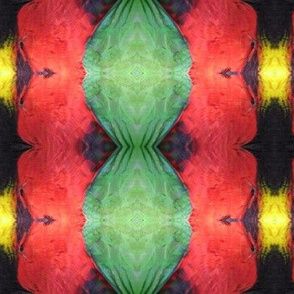 Lorikeet Feather Kaleidoscope
