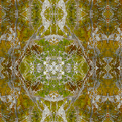 "Summer Solstice"