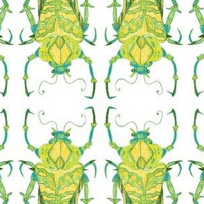 Greenish Beetle