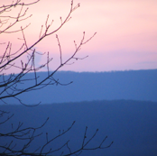 Winter Sunset