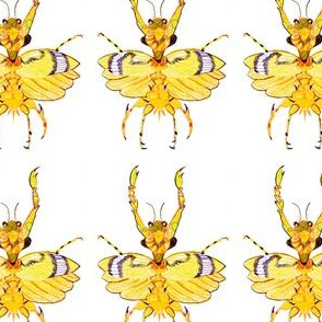 Skinny Bug