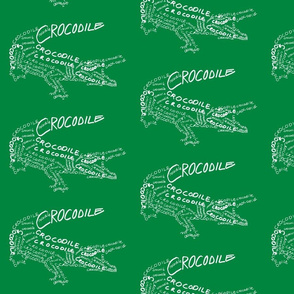 Crocodile...