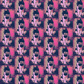 valentinecat