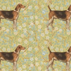 Morris' Hound
