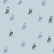 Owl be seeing you