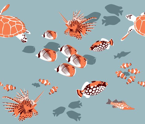 Reef_shop_preview