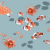 Reef_shop_thumb