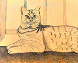 Boy_kitty_ed_thumb