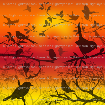 birds shadows sunset