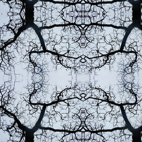 Branches