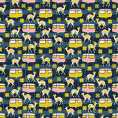 Caravan