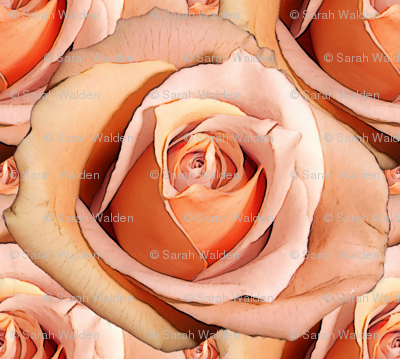 Romantic Roses ~Bright ~ Small