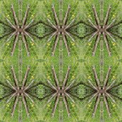 Spokes_shop_thumb