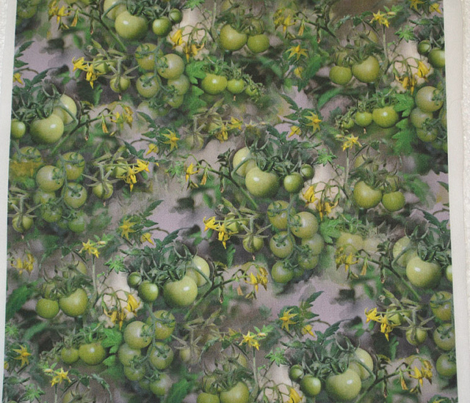 Green Tomatoes