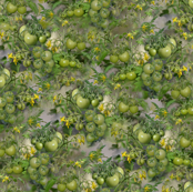 Green Tomatoes