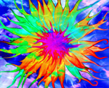 Rhotpinkdaisytexturedfabric_thumb