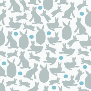 spot_the_rabbit