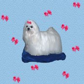 Rrrrmaltese_shop_thumb