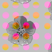 Luminous_polka_flower