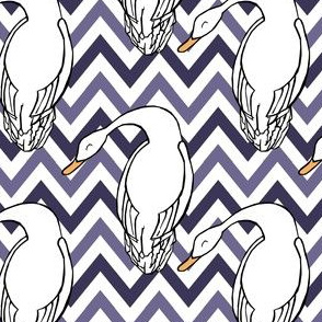 Silly Geese