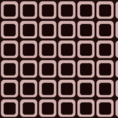 cocoa_squares