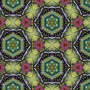 Puna Botanica