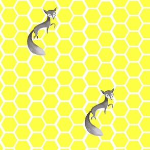 The small grey fox
