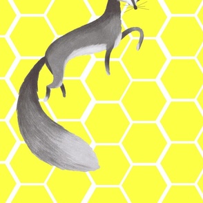 The big grey fox