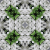 Green and White Polka Dot