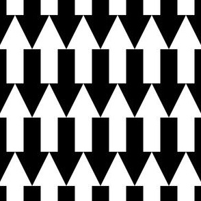 arrow 2mg plain
