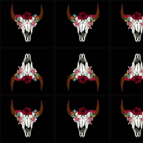 bison